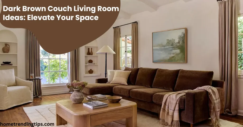 Dark Brown Couch Living Room Ideas