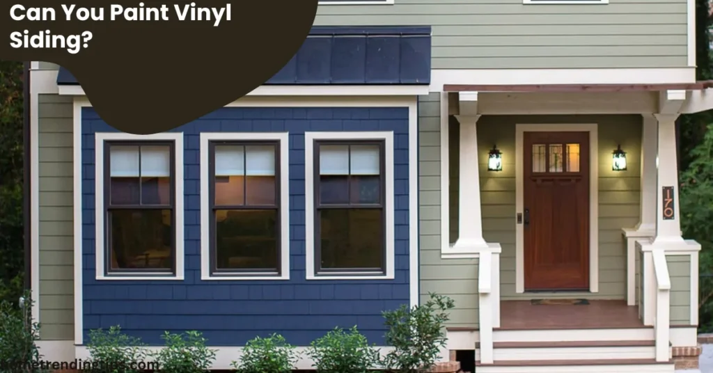 Can You Paint Vinyl Siding