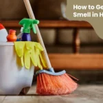 How to Get Rid of Skunk Smell in House